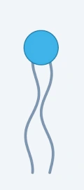 The molecule