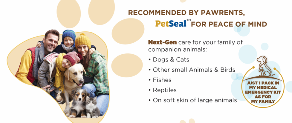 A family together with their dogs and cat